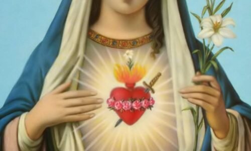 inmaculado corazon maria